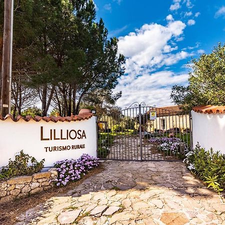 Casa Lilliosa Villa Campavaglio Kültér fotó