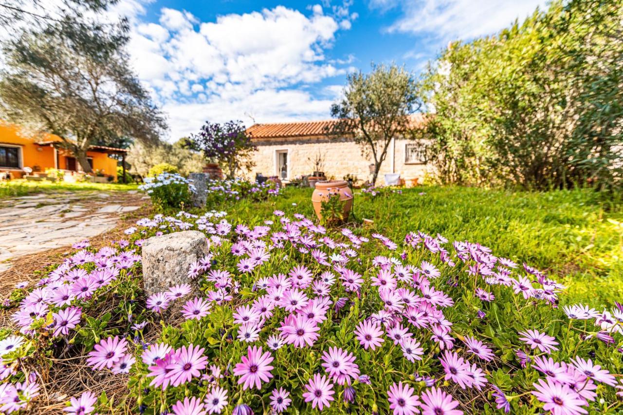 Casa Lilliosa Villa Campavaglio Kültér fotó